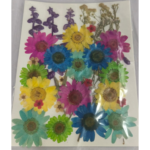 Pressed Flower