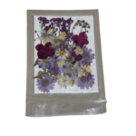 Dry Pressed Flower mix