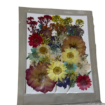 Dry Pressed Flower mix
