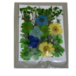 Dry Pressed Flower mix
