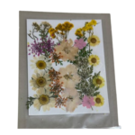 Dry Fresh Flower mix