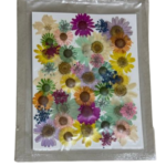 Dry Pressed Flower mix