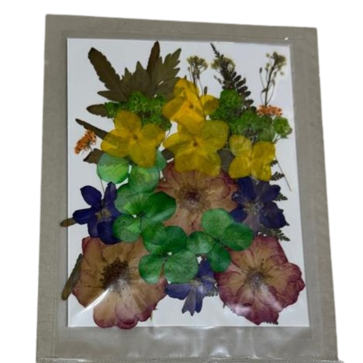 Untitled design (72) Dry Pressed Flower mix - Image 1
