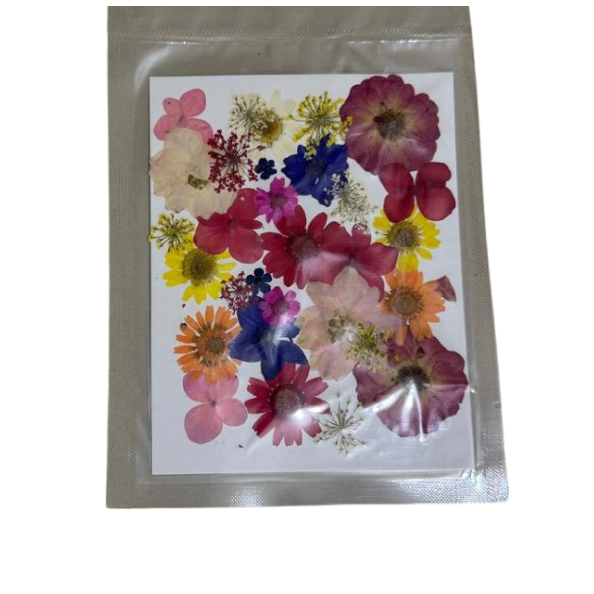 Untitled design (73) Dry Pressed Flower mix - Image 1