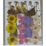 Dry Pressed Flower mix