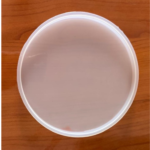 LC06 10'' Round  Plain Mould  15MM Depth