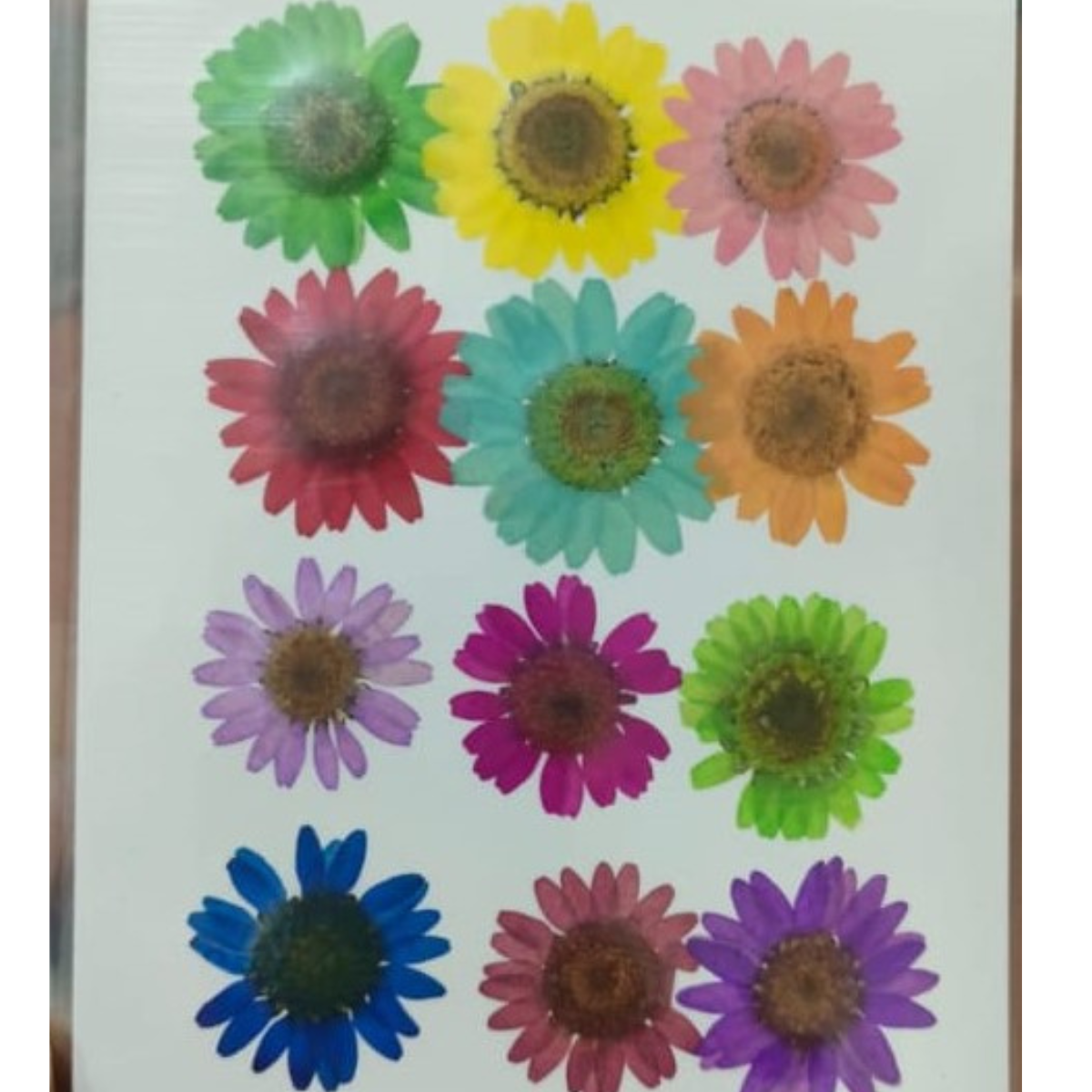 Lagecy Resin art - 2026-08-10T113724.562 Pressed Flower - Image 1