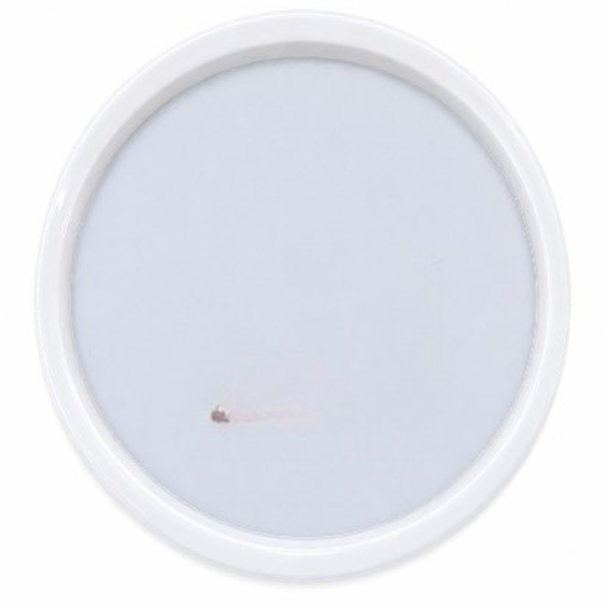 Lagecy Resin art (35) LC212 Small Oval Mould 15*11*1.2CM - Image 1