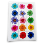 Resin Sticker Assorted A/5