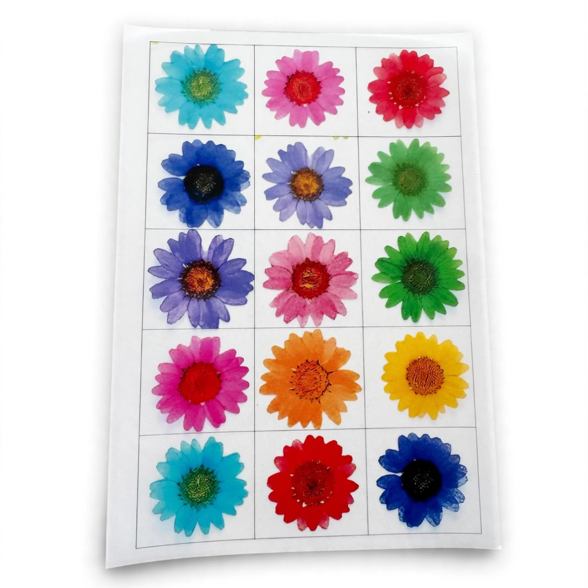 Untitled design (30) Resin Sticker Assorted A/5 - Image 1