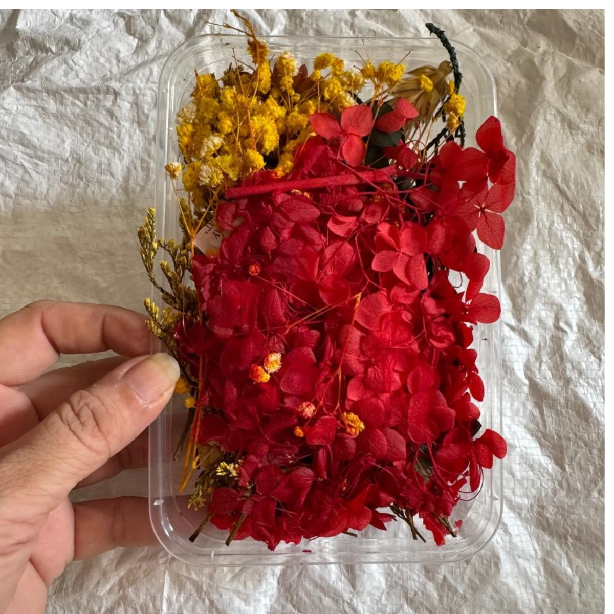 Untitled design (12) LG167 Dried Flower Random Colour Box - Image 1