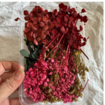 LG167 Dried Flower  Random Colour Box