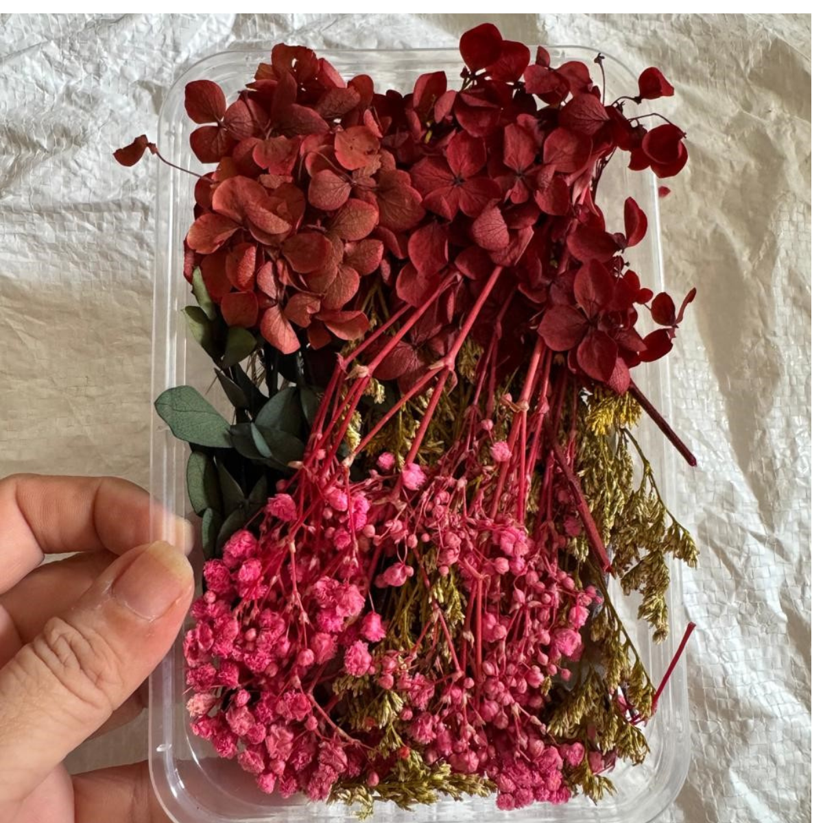 Untitled design (13) LG167 Dried Flower Random Colour Box - Image 1
