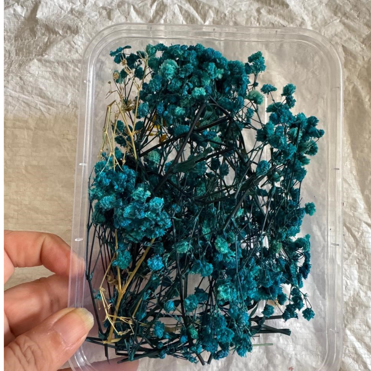 Untitled design (16) LG167 Gypsy Dried Flower Box - Image 1