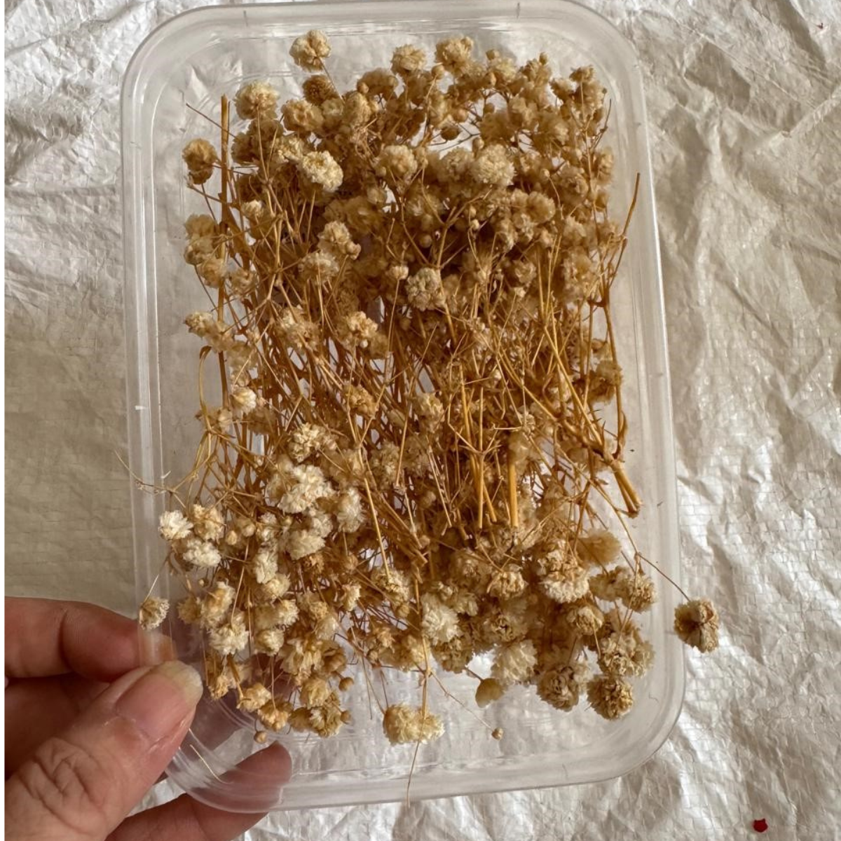 Untitled design (18) LG167 Gypsy Dried Flower Box - Image 1
