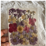LG134 Dry Pressed Flower mix