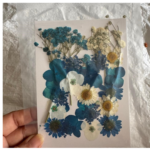 LG134 Dry Pressed Flower mix