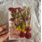 LG134 Dry Pressed Flower mix