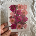 LG134 Dry Pressed Flower mix