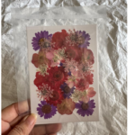 LG134 Dry Pressed Flower mix