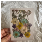LG134 Dry Pressed Flower mix