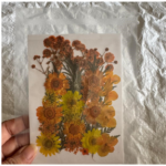 LG134 Dry Pressed Flower mix
