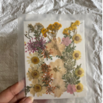 LG134 Dry Pressed Flower mix