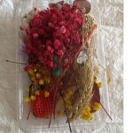 LG167 Dried Flower  Random Colour Box
