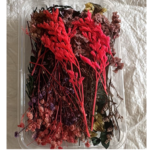 LG167 Dried Flower  Random Colour Box