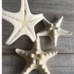 LA12 Real Star Fish 5 pcs